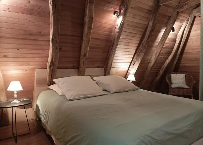 Noisette And Co * سان-سيبريان